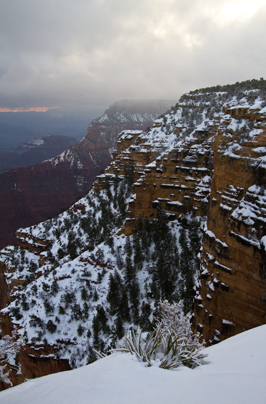 The Grand Canyon